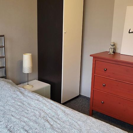 Studiospanie Apartament Cherry 索波特 外观 照片